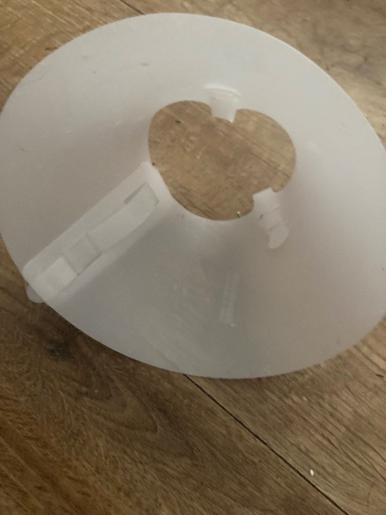 Cat cone 