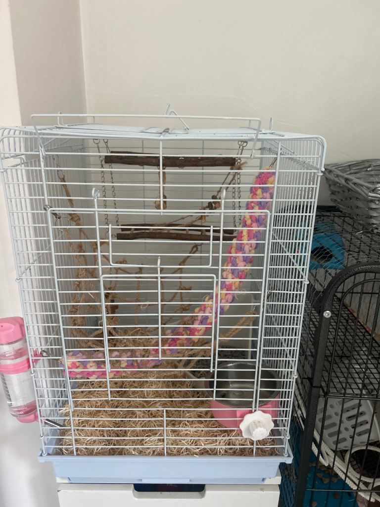 small white bird cage