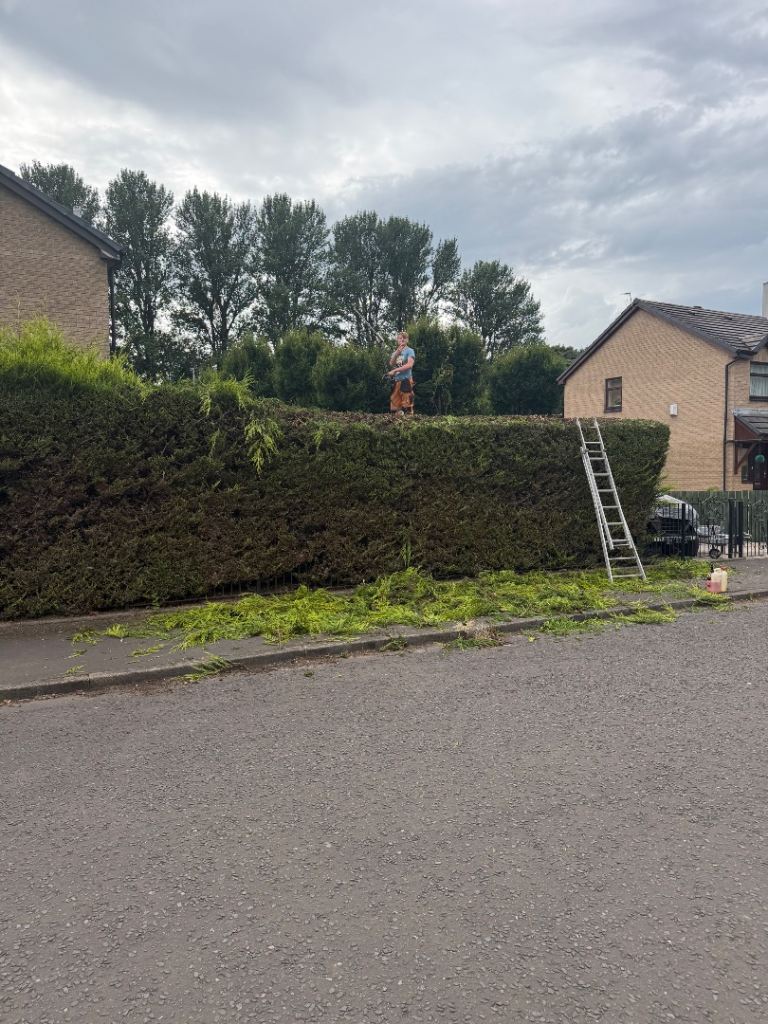Autumn tree & hedge work fencing turfing slabbing garden tidy ups