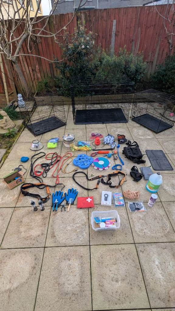 Dog equipment 