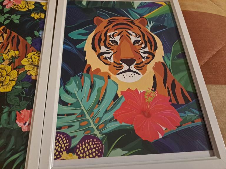 Tiger picture 