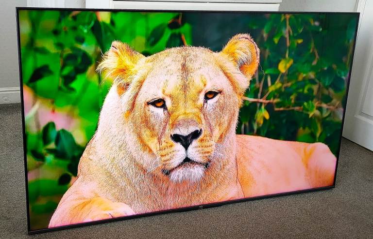 65" TCL WALL MOUNT SMART ANDROID 4K UHD QLED HDR PREMIUM SLIM WIFI TV RC NEW WALL BRACKETS-DELIVERY