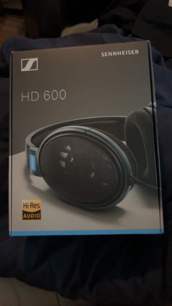 Sennheiser HD 600 Headphones