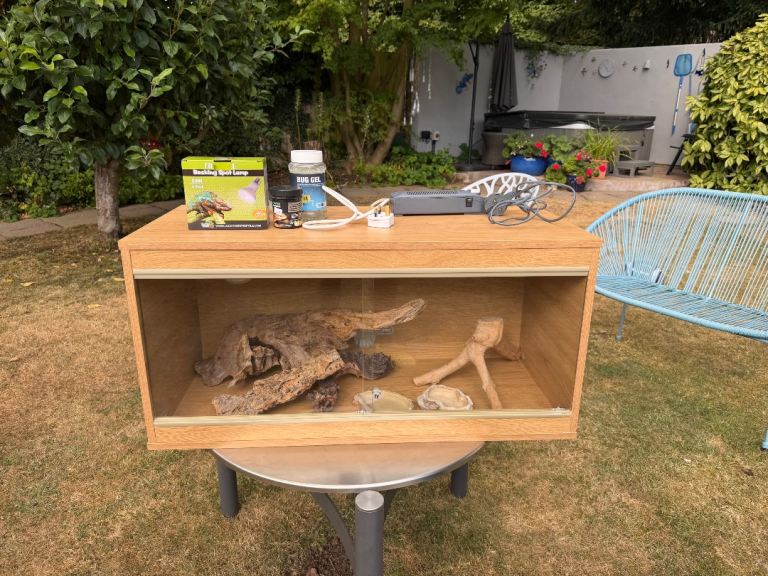 Reptile vivarium