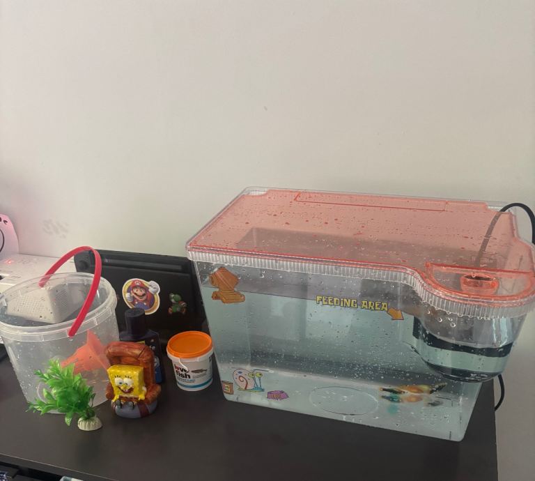 FREE!! Small kids fish tank with filter 4 fish and Spongebob decorations