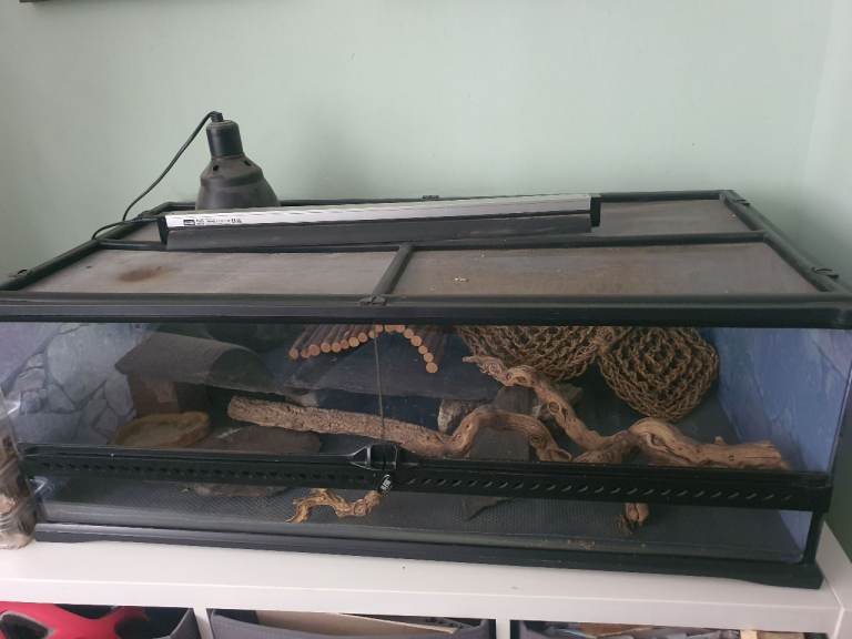 3ft Vivarium, plus heat lamp, UV lamp etc