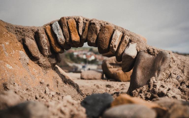 Photographer – FREE Wedding Offer + Portraits, Business & Events (Shropshire)