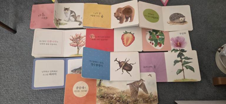 Korean Children's Picture Books 2 sets - Good Condition