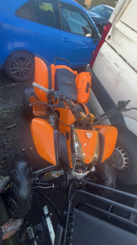 Bashan 200 project swap 