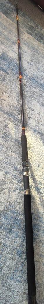 Daiwa Sea Serpent Boat fishing rod (model 66HR-6)