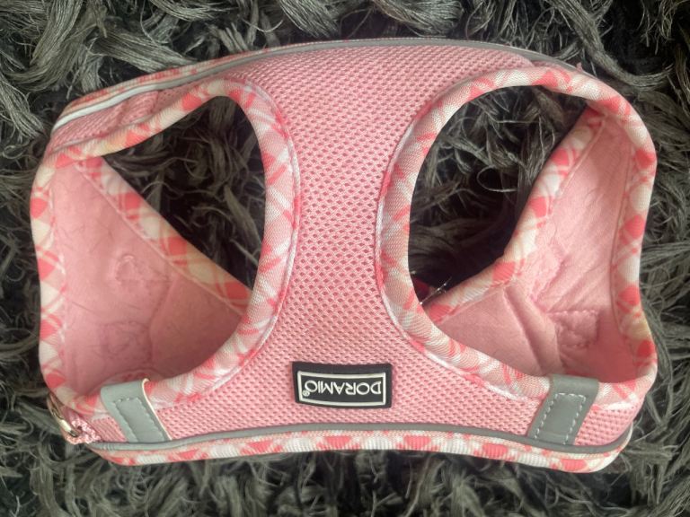 Small dog harness