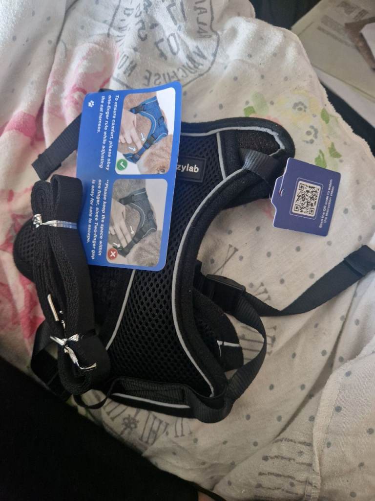 Cat lead and harness medium 