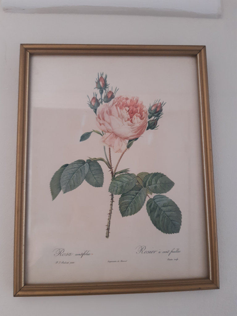 Two framed prints, pictures,  photos,  paintings 