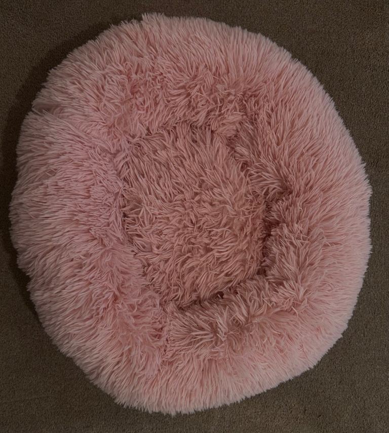 Pink doughnut cat/pet bed