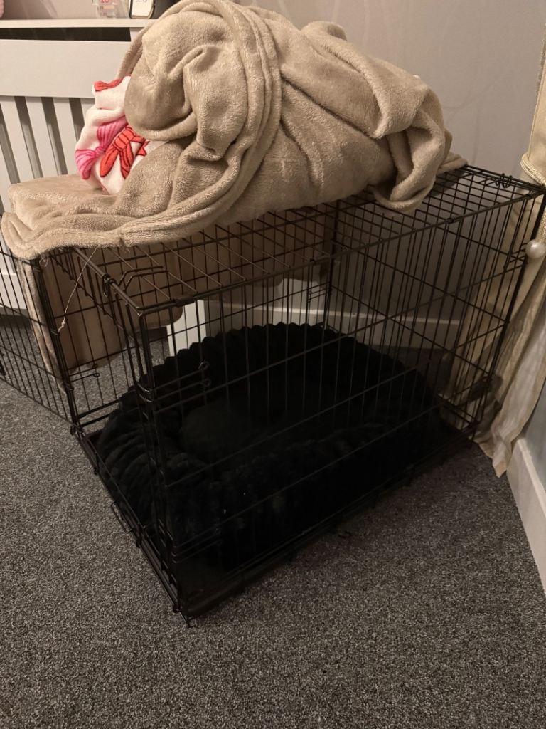 Dog crate 