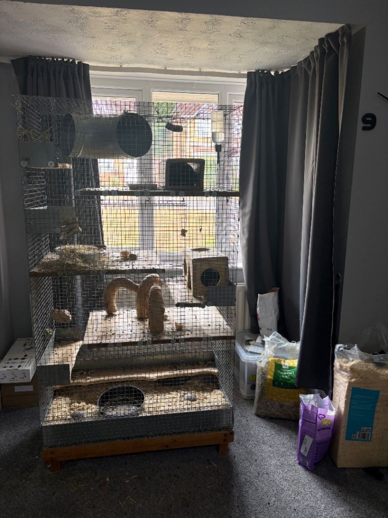 Chinchilla/degu/rat cage 