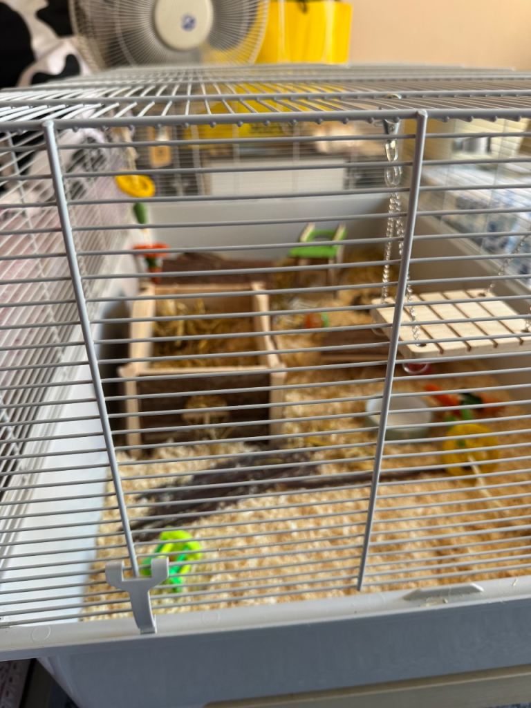 Cage for Syrian Hamster including a wooden house 