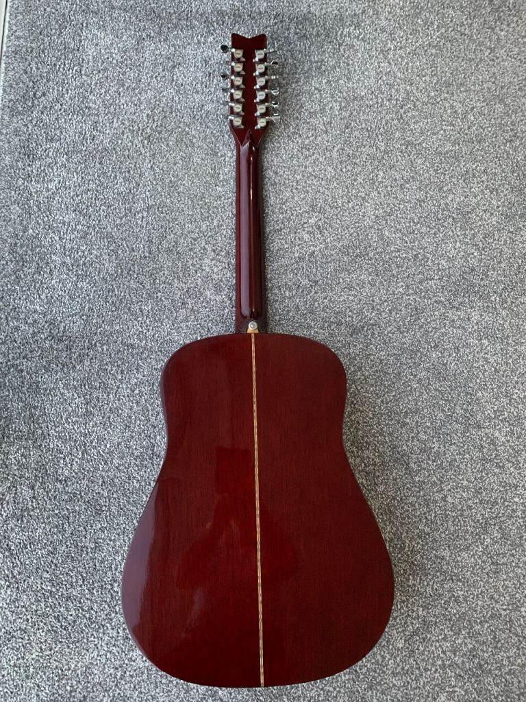Washburn D12 12 String Guitar 