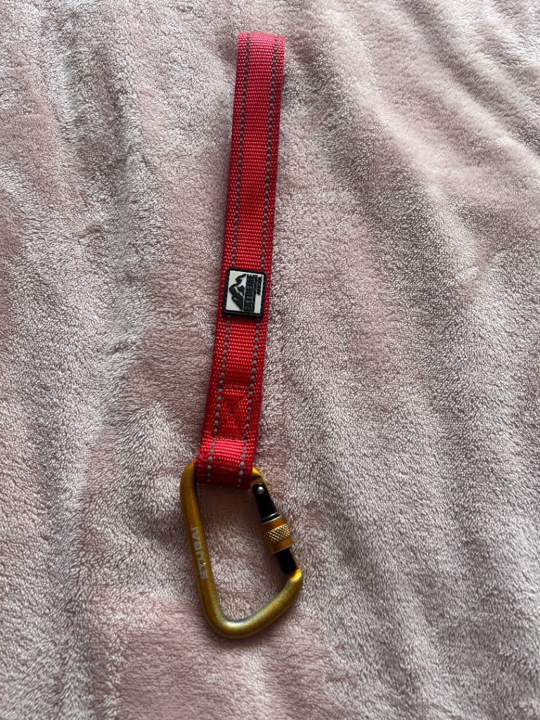 Dog Control handle 