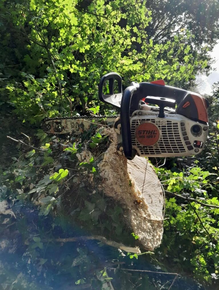 Stihl Wanted