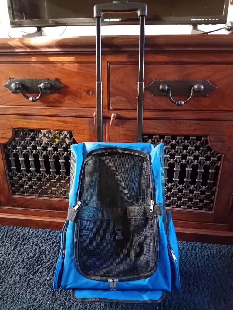 Small pet carrier 