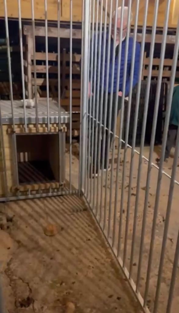 Custom built dog run and kennel - excellent quality