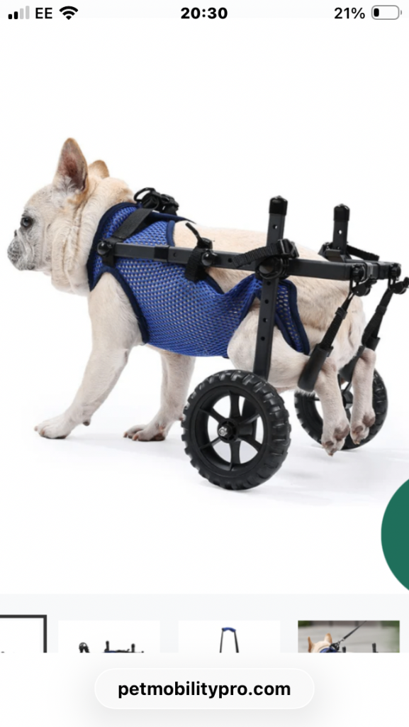 Dog Walking Frame / Wheelchair Brand New