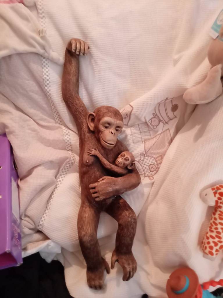 Hanging Monkey from Thailand. 