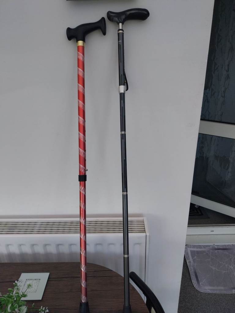 Walking sticks 