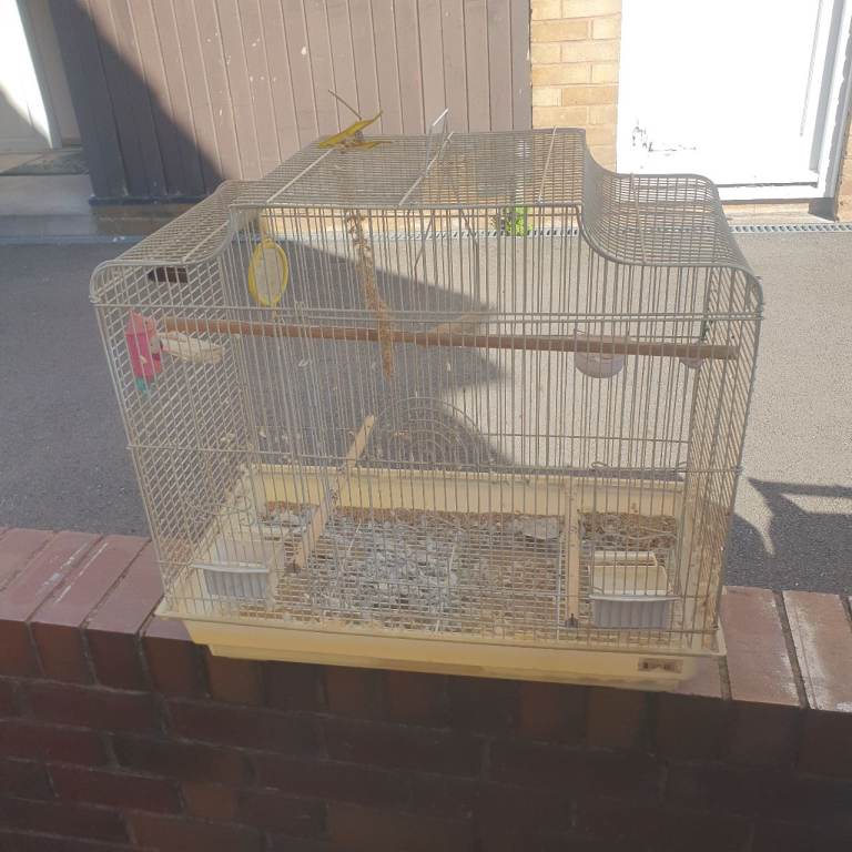 Cream Birdcage , 2ft x 2ft x 1ft , Decent Condition, Needs A Clean - Mirror, Perches, Food Bowls etc