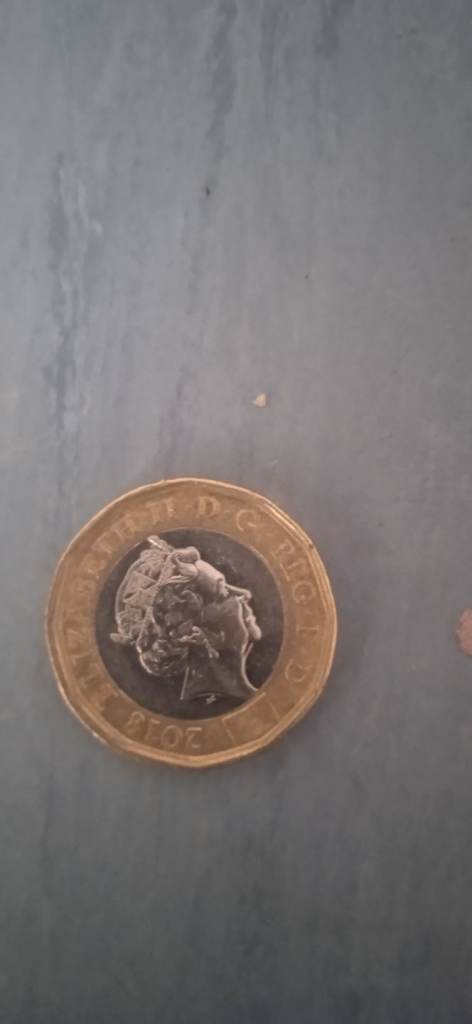 £1 coins 