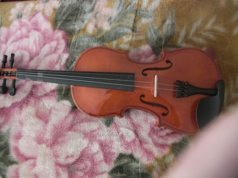Violin – Good Condition, 