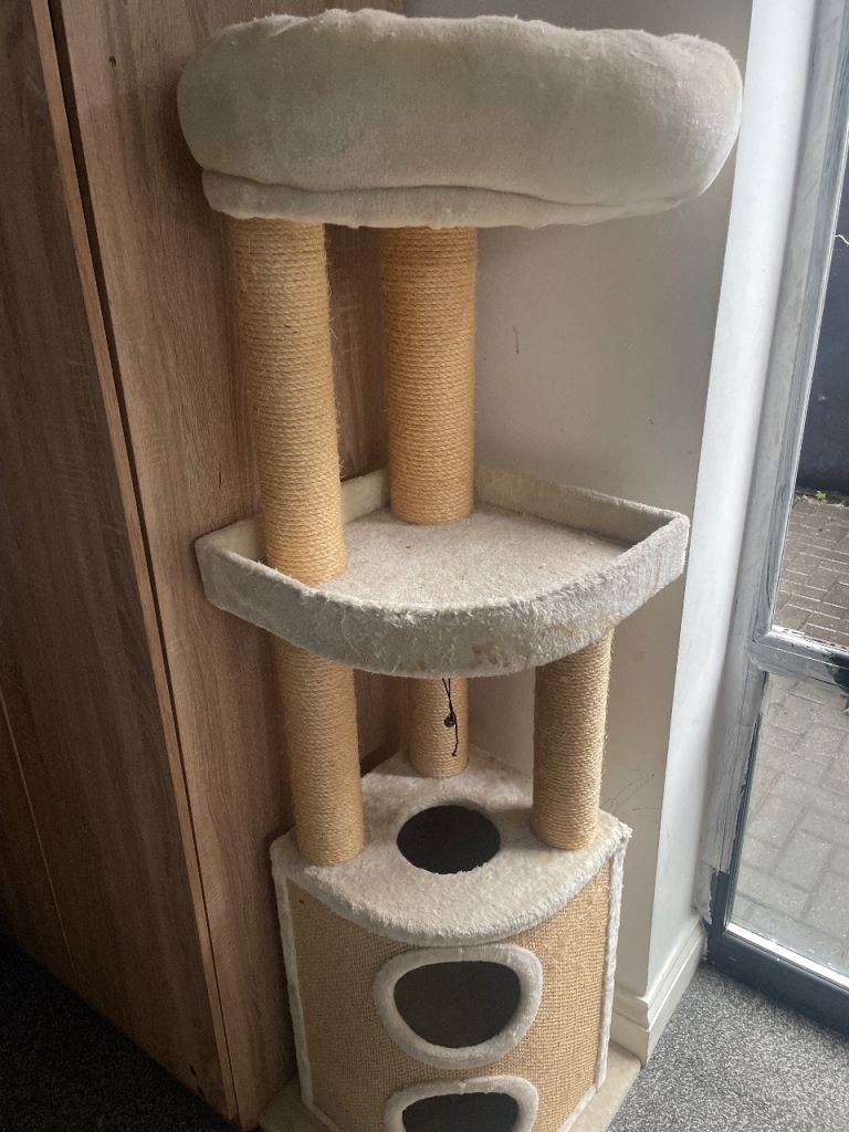 Cat scratch