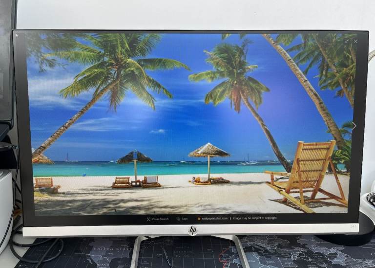 HP DISPLAY MONITOR