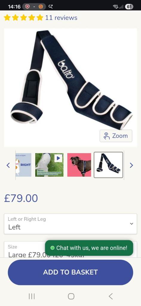 Balto dog left elbow support size large