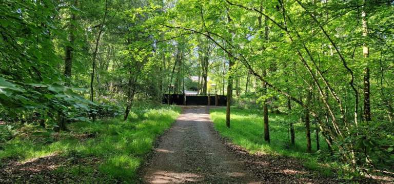 New Forest Detached Studio Cottage for Rent (Semi Furnished)