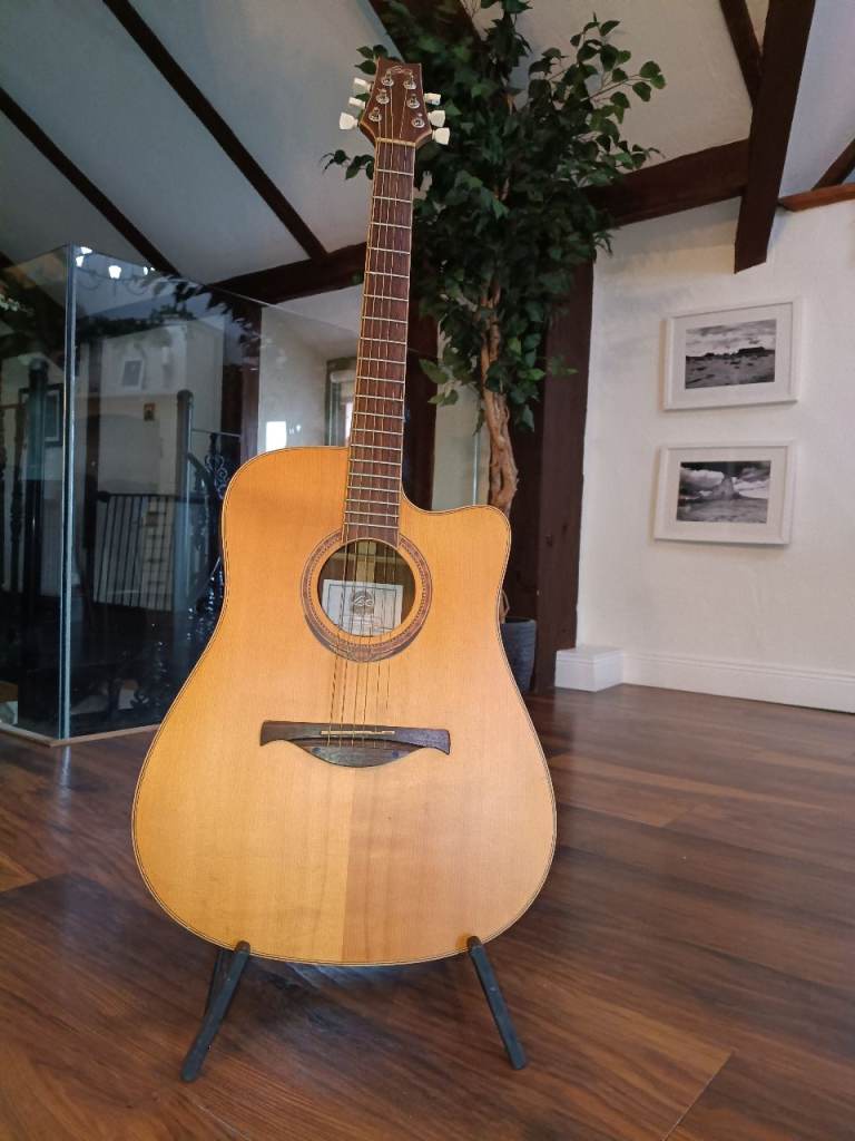 Lag electro acoustic guitar.