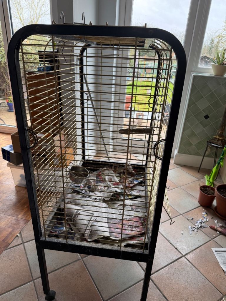 Large bird cage suitable for Parrot