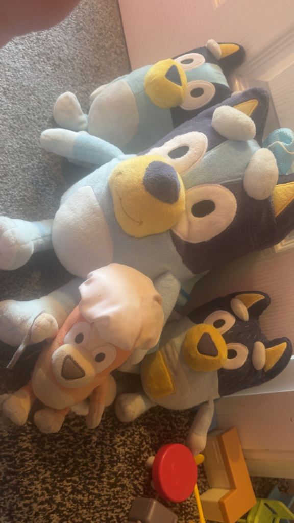 huge bluey toy bundle