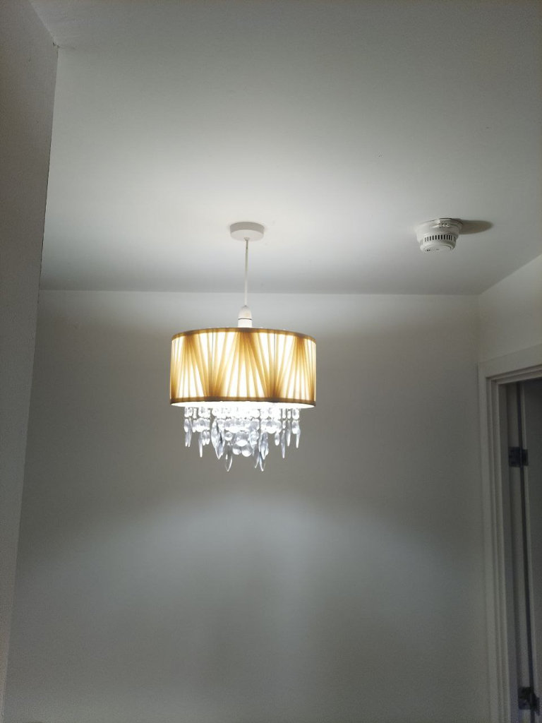1 Crystal Chandelier