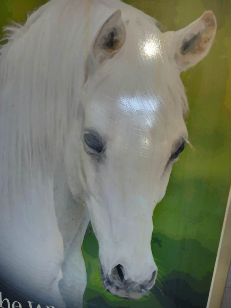 PUB-SIGN.! THE WHITE HORSE .   