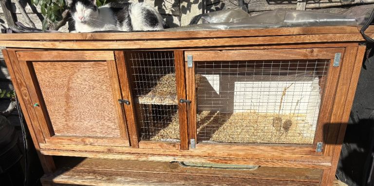 Guinea Pig Hutch