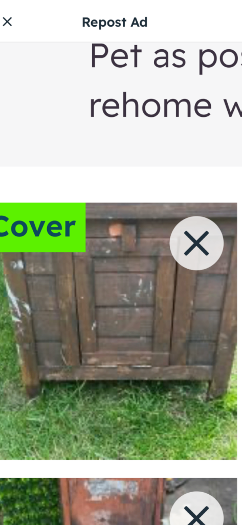 Free small animal house