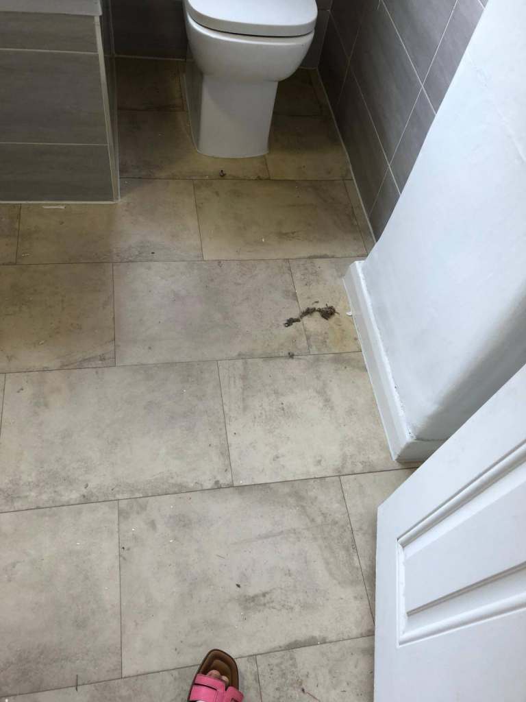 ✨ END OF TENANCY CLEANING – PROFESSIONAL, THOROUGH & COVERING ALL OF EAST LONDON ✨