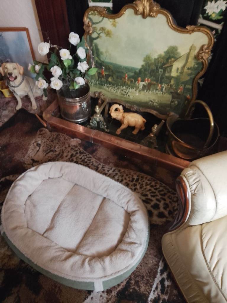UNUSED BRAND NEW DOG BED