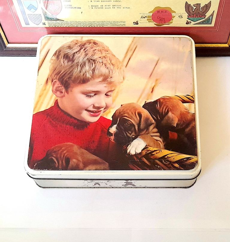 COLLECTABLE TIN - BOY with three PUPPIES by BURTONS - 23 x 22 x 6 cm GOOD