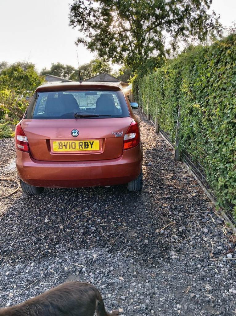 Skoda, FABIA, Hatchback, 2010, Manual, 1198 (cc), 5 doors