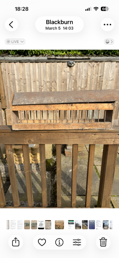  Large pigeon Bird feeder 