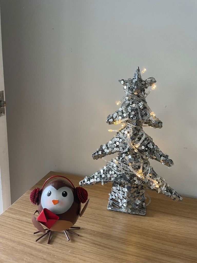 Christmas Tree Decoration with Lights & Metal Robin Ornament
