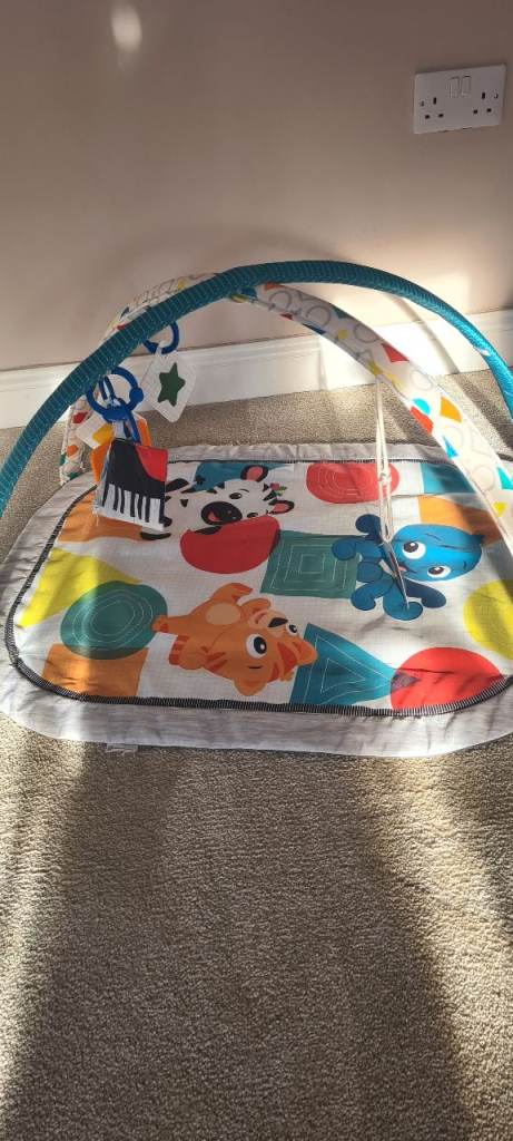 Baby Activity Play Mat with Arch – Good Condition